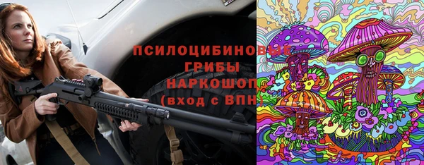 МДПВ Алексеевка