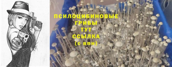 спиды Алексин