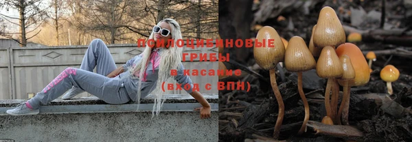 мдпв Алзамай